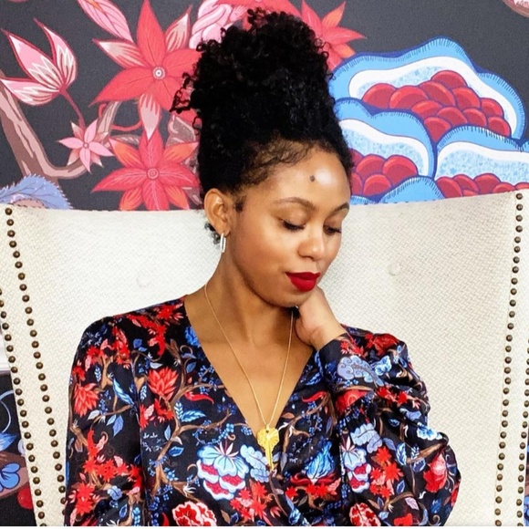 NWT Chloe Kristyn Fallon Dress - Picture 4 of 4